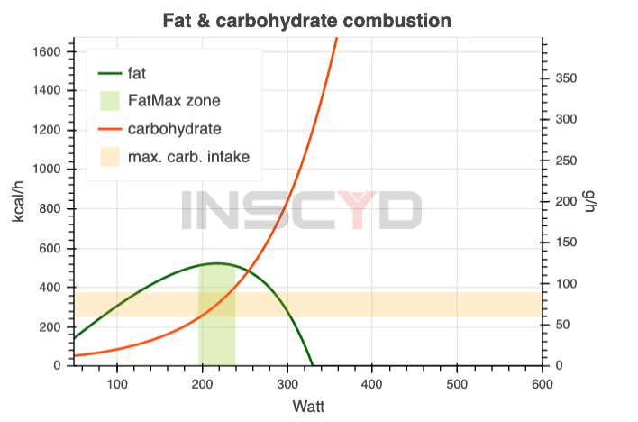 fat and carbohydrate combustion INSCYD